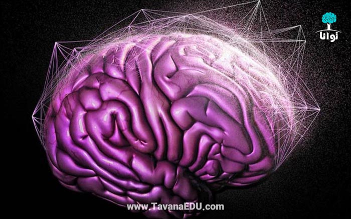 مغز نو و مغز کهنه - منطق مغز کهنه