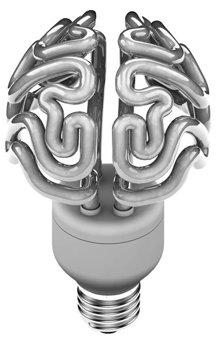 مغز ابزاری کم مصرف ، هیوریستیک مغز - میانبرهای ذهنی