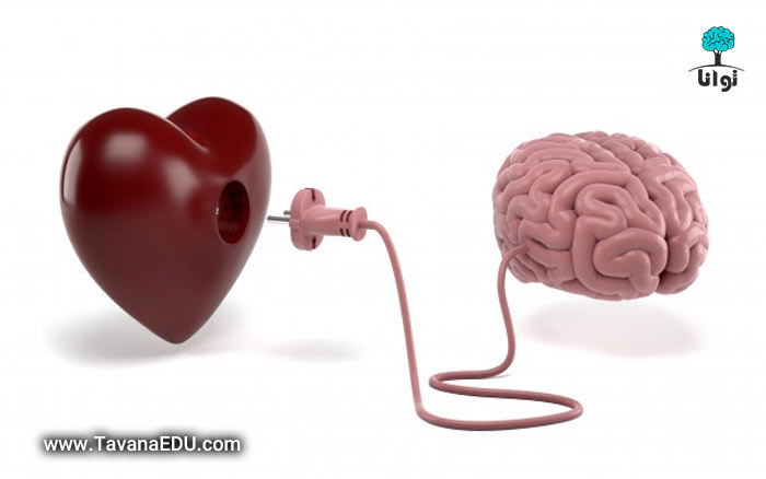 قلب یا مغز عاشق؟